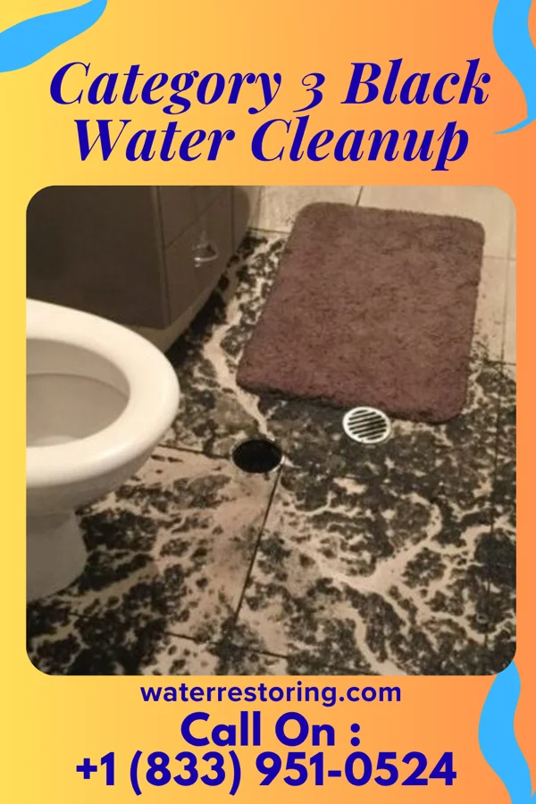 Category 3 Black Water Cleanup in Akron, MI