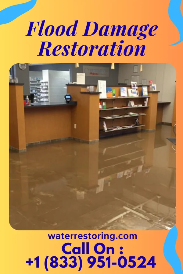 Flood Damage Restoration in Akron, MI