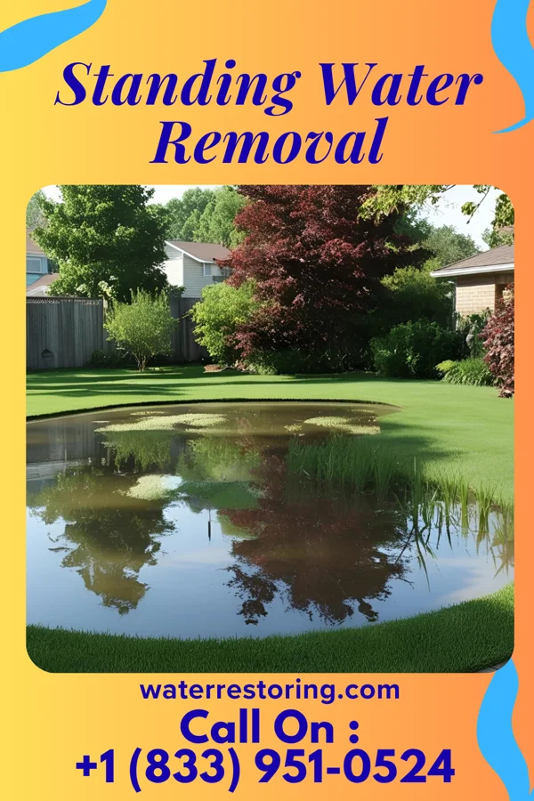 Standing Water Removal in Akron, MI